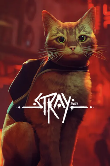 Capa de Stray