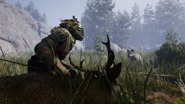 ICARUS: imagem 7 de 8