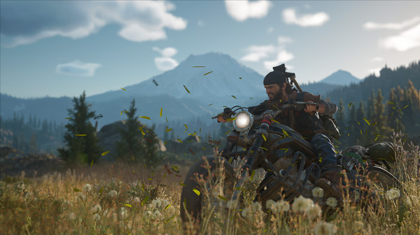 Days Gone: imagem 3 de 8