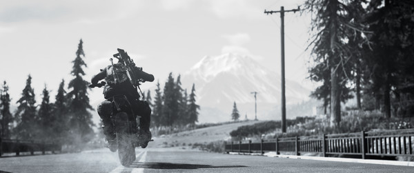 Days Gone: imagem 8 de 8