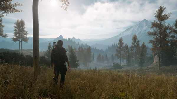 Days Gone: imagem 6 de 8