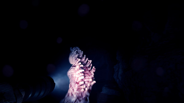 Sons Of The Forest: imagem 7 de 8