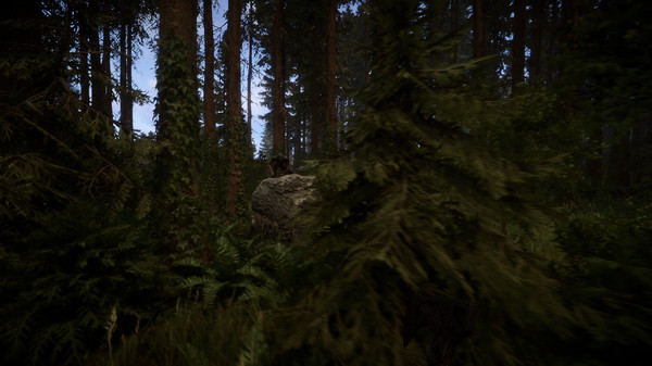 Sons Of The Forest: imagem 4 de 8