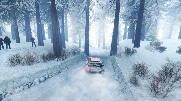 WRC Generations – The FIA WRC Official Game: imagem 5 de 7