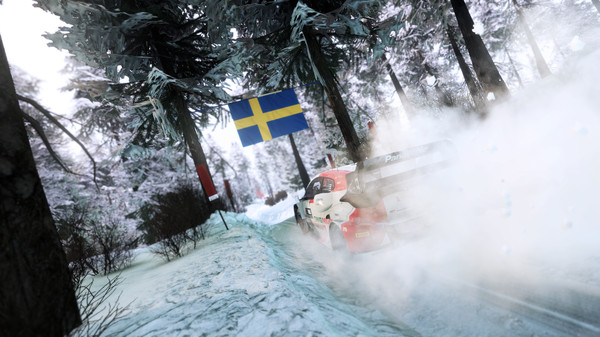 WRC Generations – The FIA WRC Official Game: imagem 4 de 7
