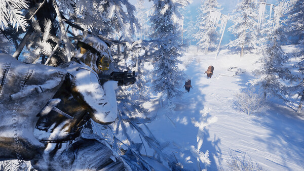 Permafrost: imagem 4 de 8