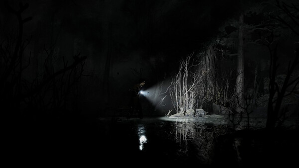 Silver Pines: imagem 7 de 8