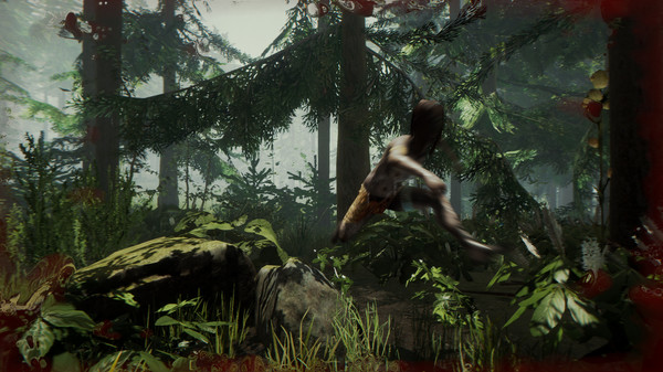 The Forest: imagem 2 de 8