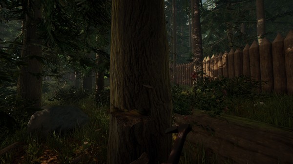 The Forest: imagem 7 de 8