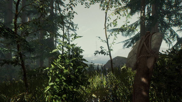 The Forest: imagem 4 de 8