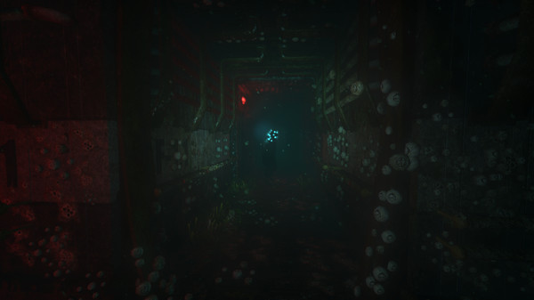 SOMA: imagem 8 de 8