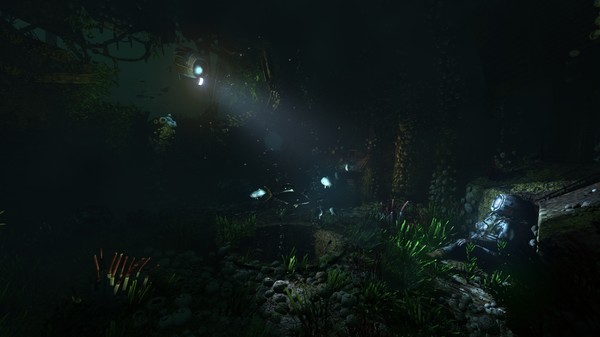 SOMA: imagem 6 de 8