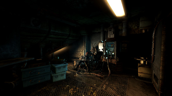 SOMA: imagem 5 de 8
