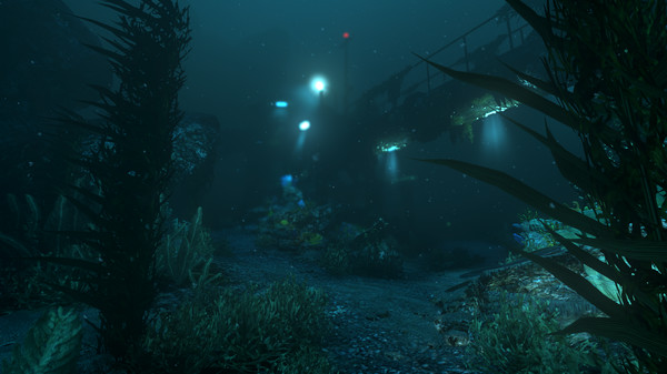 SOMA: imagem 4 de 8