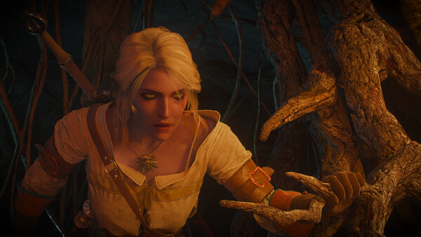 The Witcher 3: Wild Hunt: imagem 6 de 8