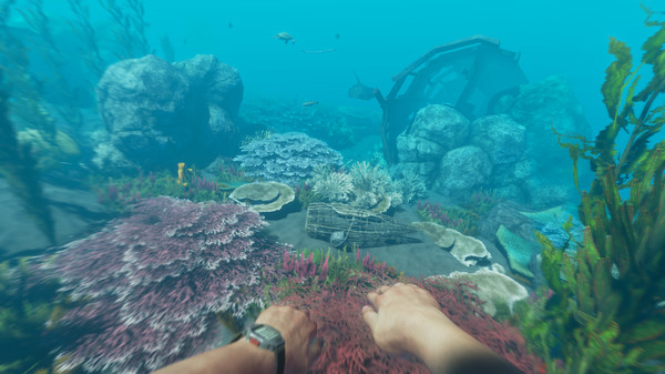 Stranded Deep: imagem 3 de 8