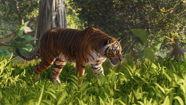 Planet Zoo 2: imagem 6 de 8