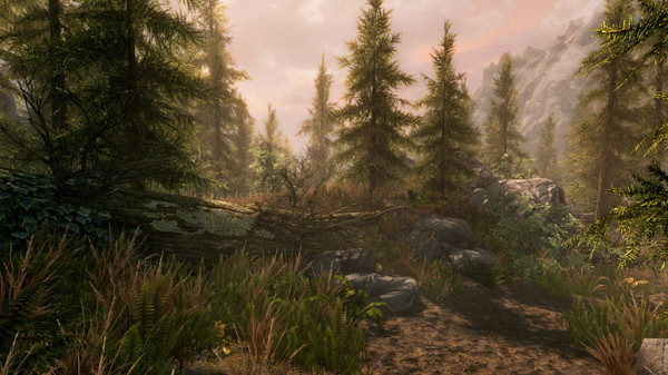 The Elder Scrolls V: Skyrim Special Edition: imagem 7 de 8