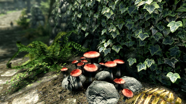 The Elder Scrolls V: Skyrim Special Edition: imagem 6 de 8