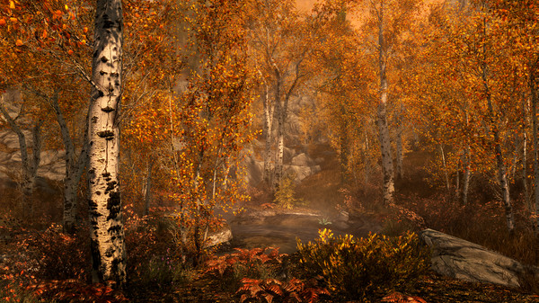 The Elder Scrolls V: Skyrim Special Edition: imagem 3 de 8