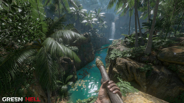Green Hell: imagem 6 de 8